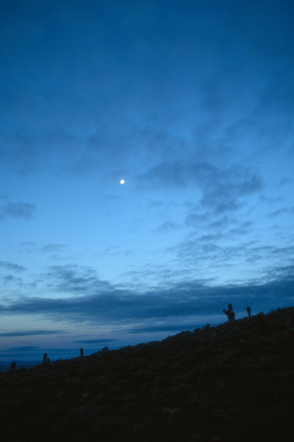 A rising moon in the desert.