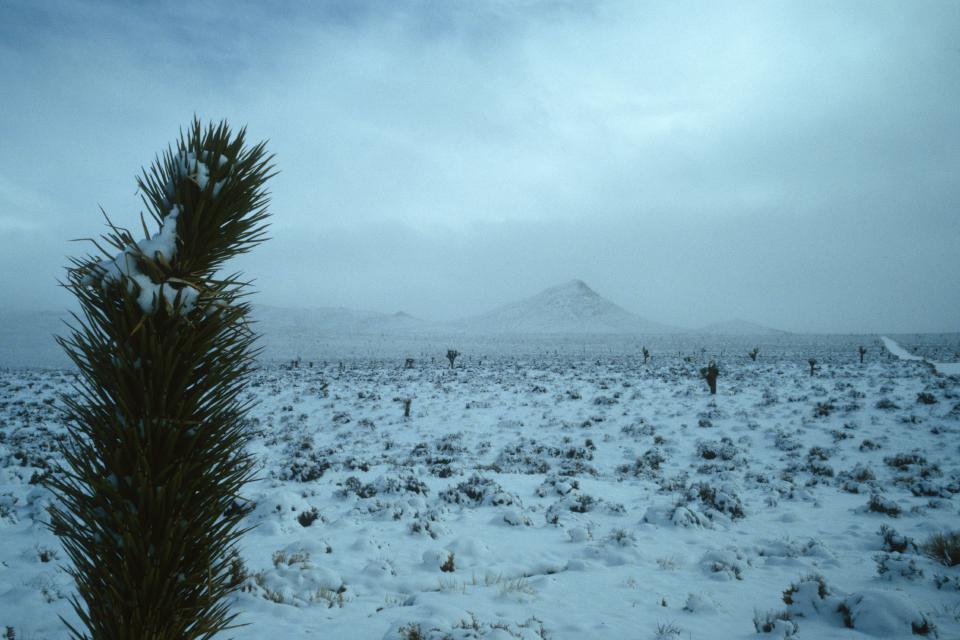 Snow in the desert.